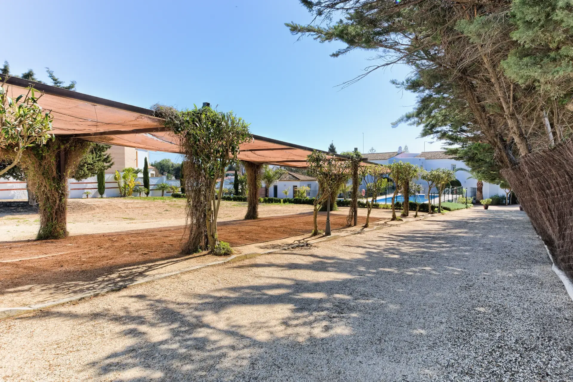 Paseo ajardinado hacia la piscina de las villas